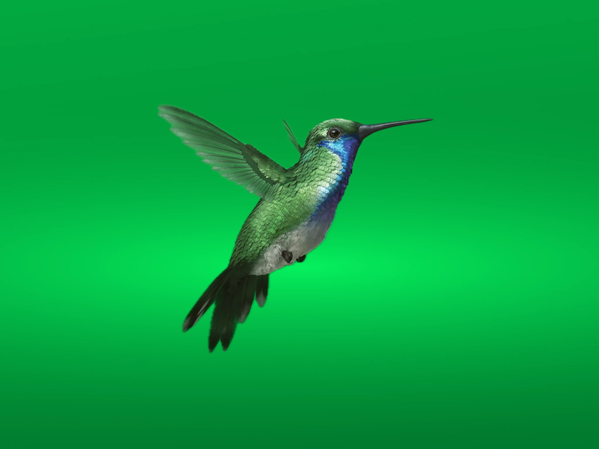 A green colibri, Via Verde's brand symbol, in flight against a green background.